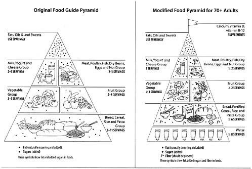 healthy food pyramid for adults. FIGURE 5-1 The original Food