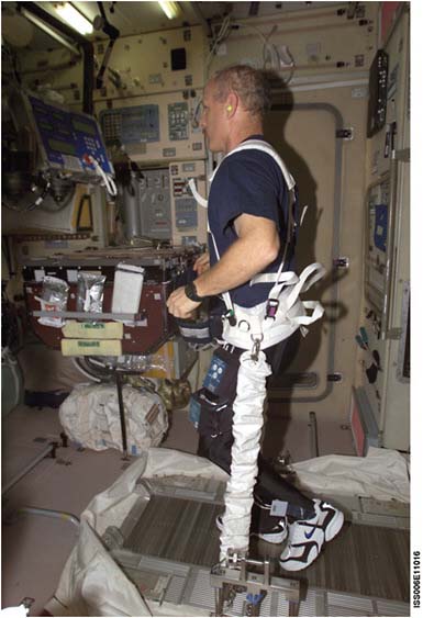 FIGURE 4.11 Astronaut Kenneth D. Bowersox, Expedition Six mission commander, wearing the Lower Extremity Monitoring Suit, participates in the Foot/Ground Reaction Forces During Spaceflight experiment. NASA Photo ID: ISS006-E-11016 (24 December 2002). SOURCE: Courtesy of NASA.