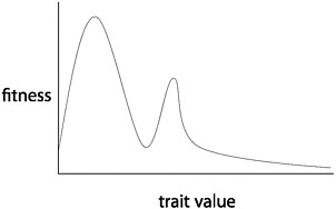 FIGURE 15.6 The fitnesses of different trait values of a quantitative character. There are 2 adaptive peaks.