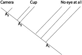 FIGURE 15.8 The use of parsimony to reconstruct the character states of ancestors in the lineage leading to modern land vertebrates (which is represented by the dashed line). Given the tree shown and the character states (W = walking and T = tetrapody) at the tips, the inference is that tetrapody evolved before walking.