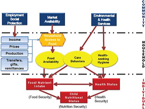 FIGURE 3-8 Determinants of food, nutrition, and health security in urban areas.