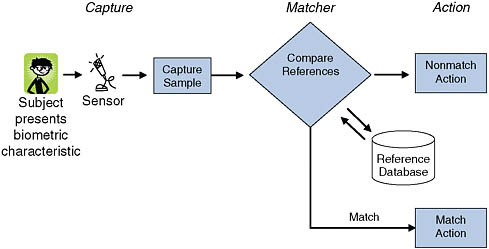 FIGURE 1.1 Operation of a biometric system.