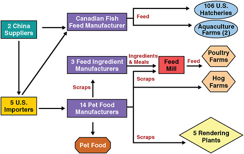 FIGURE 2-14 Sequence of events—different routes of melamine-contaminated wheat gluten into the United States.