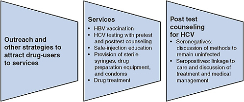 FIGURE 5-2 Essential viral hepatitis services for illicit-drug users.
