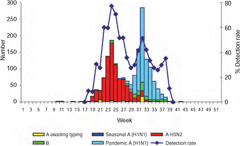 FIGURE A10-5 Positive samples by influenza types and subtype: Viral Watch South Africa 2009.