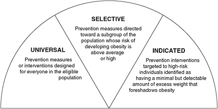 FIGURE 2-1 Types of obesity prevention interventions.