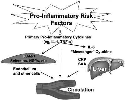 FIGURE 4-1 Inflammatory risk factors.