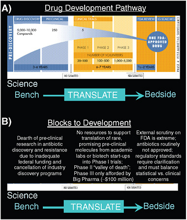 FIGURE A18-3 Schema of the drug development process. (A) The drug approval process takes 10–15 years, during which time 5,000 to 10,000 lead compounds are whittled down to approximately 5 to 10 that make it through preclinical development to enter clinical trials, and on average 1 will receive Food and Drug Administration