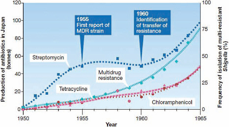 FIGURE WO-1 The relationship between antibiotic resistance development in Shigella dysenteriae isolates in Japan and the introduction of antimicrobial therapy between 1950 and 1965. In 1955, the first case of plasmid determined resistance was characterized. MDR = multidrug resistance. Transferable, multi-antibiotic, resistance was discovered five years later in 1960.