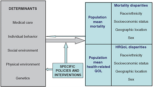 FIGURE 6-2 A schematic framework for population health planning.