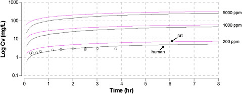 FIGURE 6C-9 Model predictions for CV in rats (top line of each pair of lines) and humans (bottom line of each pair of lines). Open circles are the actual measured human CV values for exposure to xylene at 200 ppm.