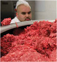 Foods pooled from many sources, such as batches of raw ground beef, can become tainted if any of the meat in the batch is contaminated with a human pathogen.