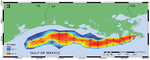 FIGURE 6-1 Bottom water dissolved oxygen levels in Northern Gulf of Mexico.