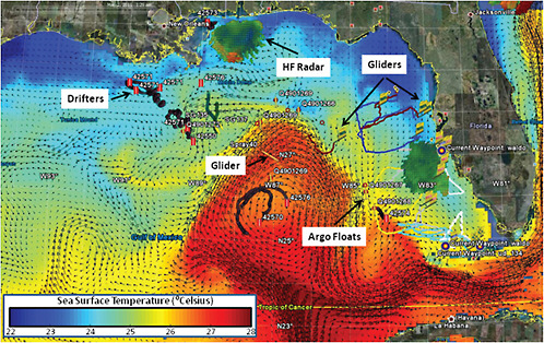 Some of the infrastructure deployed during the Deepwater Horizon oil spill in the Gulf of Mexico. The color map and vectors represents a Naval Oceanographic Office ocean model simulation, and graphics and tracks represent in situ assets that were deployed in response to the spill.
