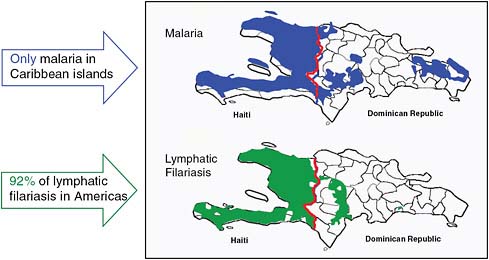 FIGURE A6-2 Geographic distribution of malaria and lymphatic filariasis on the island of Hispaniola in 2006.