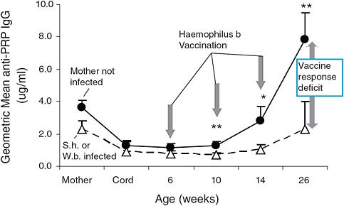 FIGURE A12-3 Reduced protective antibody response to anti-Haemophilus influenza b vaccination among children of mothers with schistosomiasis and/or filariasis during pregnancy.