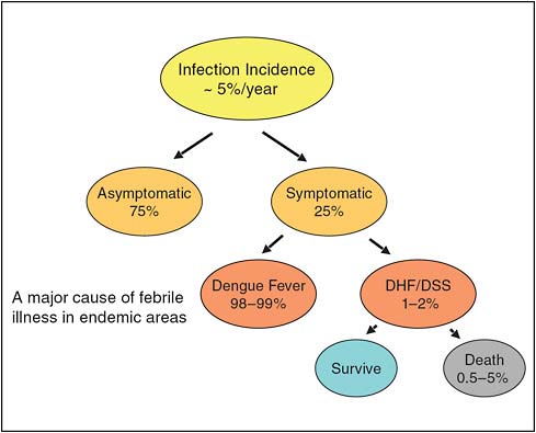 FIGURE WO-9 Dengue virus infection.