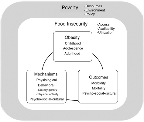 FIGURE 12-3 Food insecurity exists within the context of poverty in a multidimensional, multidetermined, dynamic, embedded, and multilevel system.