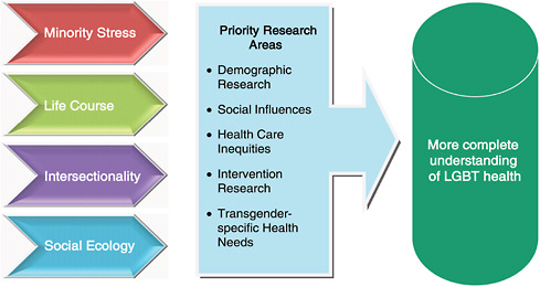 FIGURE 7-1 Research agenda. A number of different conceptual perspectives can be applied to priority areas of research in order to further the evidence base for LGBT health issues.