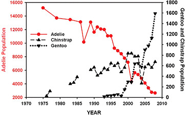 This figure illustrates changes in penguin breeding pairs near Palmer Station, Antarctica. SOURCE: Adapted from Figure 18 in Ducklow et al. (2007).
