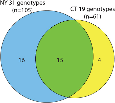 FIGURE 5-2 Borrelia burgdorferi genotype variation between regions. New York has 31 genotypes, but only 16 of them are unique to that state. Connecticut has 19 genotypes, with 4 unique to that state.