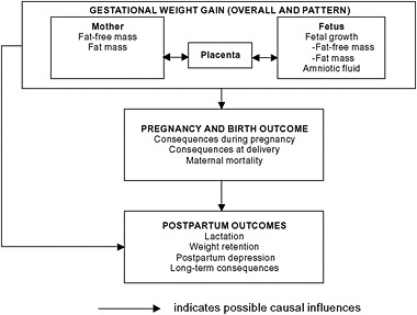 FIGURE 5-1 Schematic summary of maternal consequences associated with gestational weight gain.