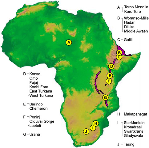 FIGURE 2.2 Geographic distribution of major exploration sites for hominins older than 1.8 Ma (i.e., prior to the first dispersal of H. erectus out of Africa). East Africa Rift System shown in purple. SOURCE: Digital elevation model image courtesy National Oceanic and Atmospheric Administration National Geophysical Data Center.